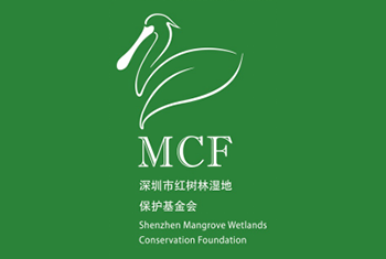 组织图片